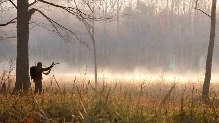 Hunter in New York forest during deer season with morning mist over Adirondack mountains
